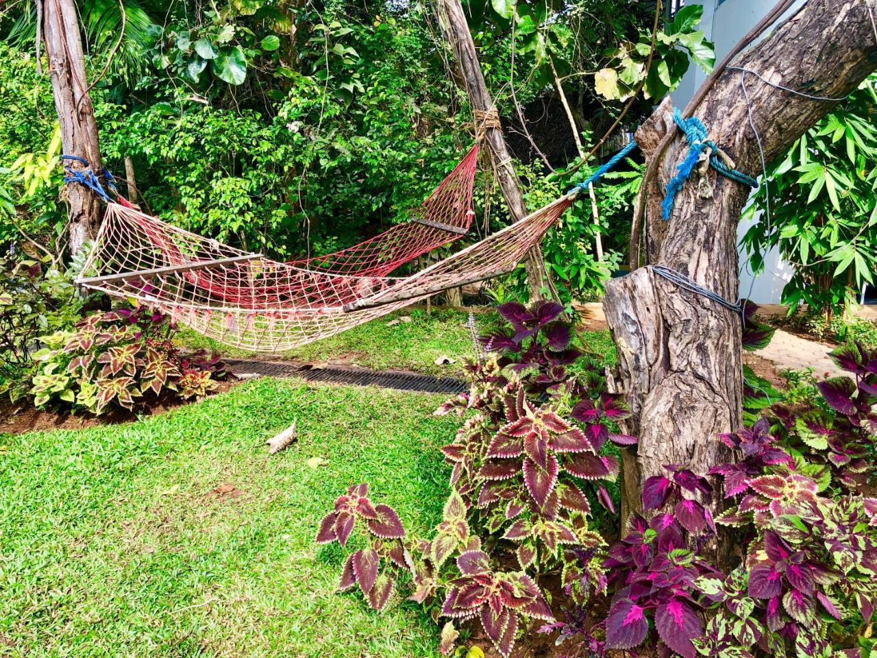 Sundaras Resort & Spa Dambulla Exterior photo